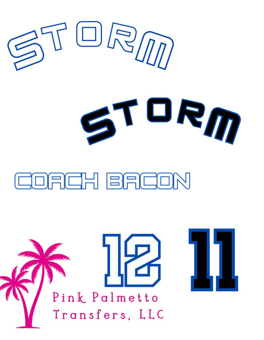 Storm Baseball Bundle DTF Transfers