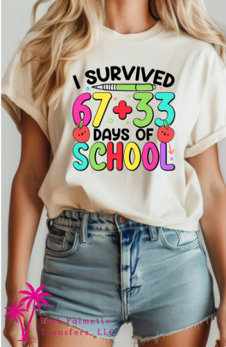 I Survived, 100 Days of School Tshirt