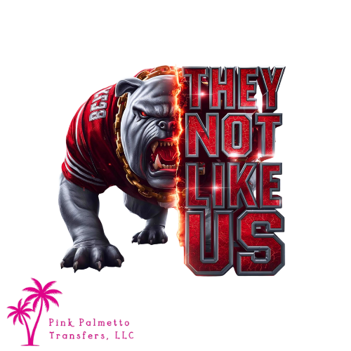 They Not Like Us 12" DTF Transfer
